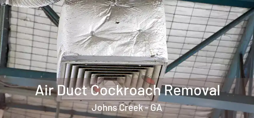 Air Duct Cockroach Removal Johns Creek - GA