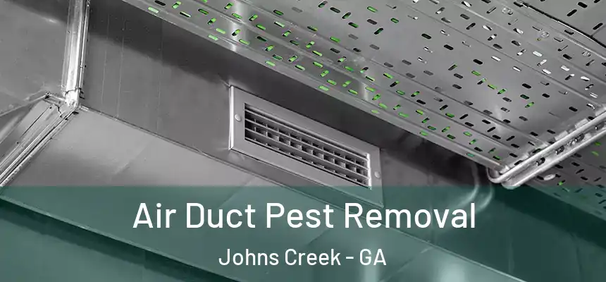 Air Duct Pest Removal Johns Creek - GA