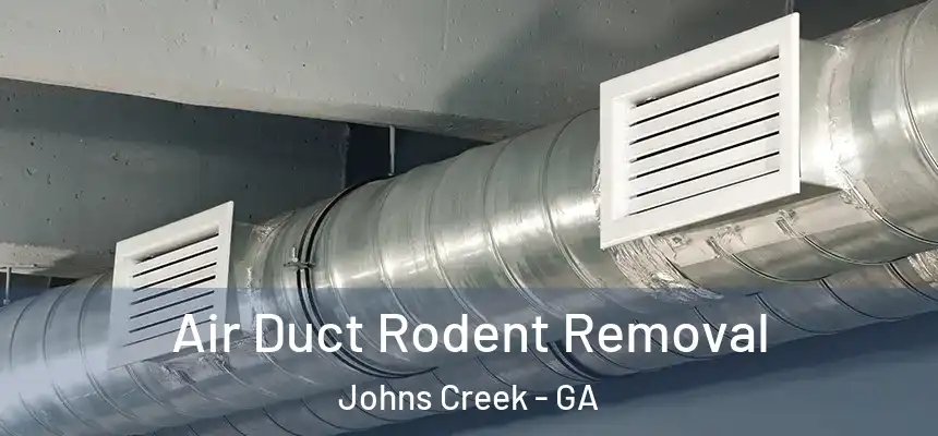 Air Duct Rodent Removal Johns Creek - GA