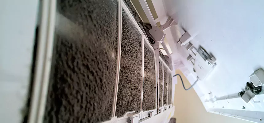 Preventive Air Duct Bacteria Removal in Johns Creek