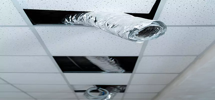 Our Air Duct Pet Hair Removal Services in Johns Creek, GA