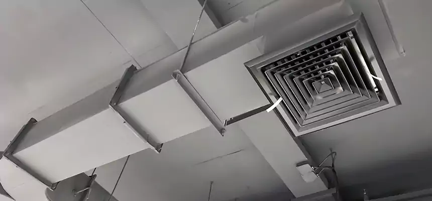 Restorative Allergy Relief Vent Cleaning – Coil, Blower & Housing Detail in Johns Creek