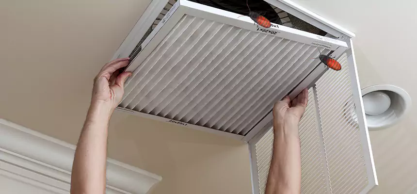 Our Insect Removal from Air Ducts Services in Johns Creek, GA