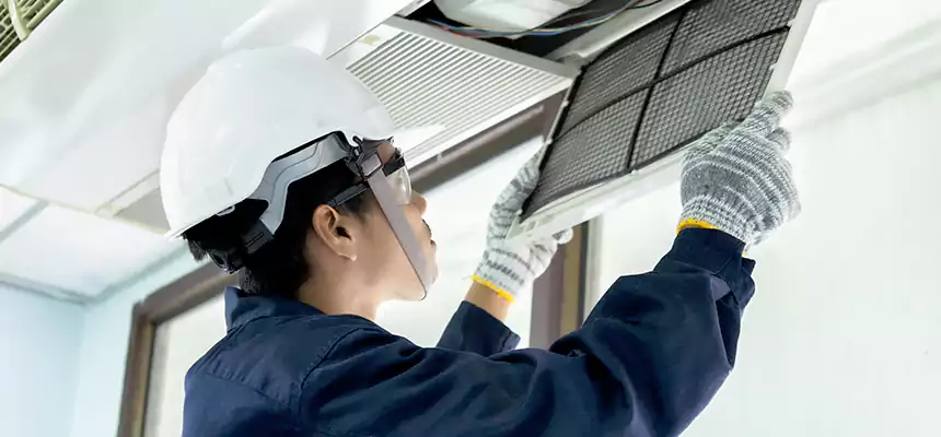 Our Mold & Mildew Removal from Air Ducts Services in Johns Creek, GA