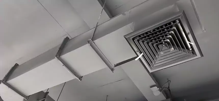 Our Pest Removal From Ducts Services in Johns Creek, GA