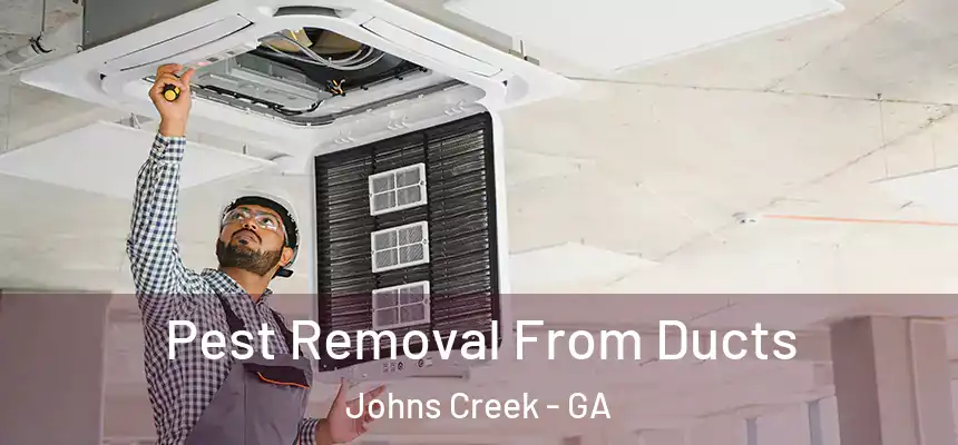 Pest Removal From Ducts Johns Creek - GA