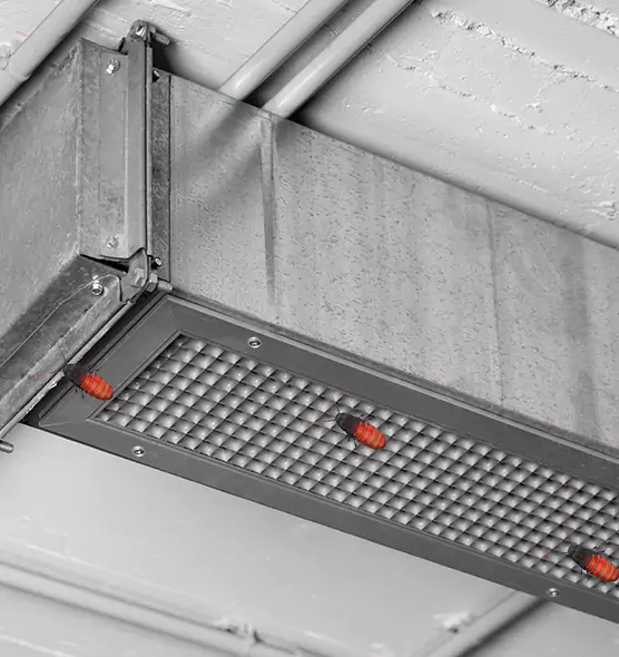 About Air Duct Cockroach Removal in Johns Creek, GA