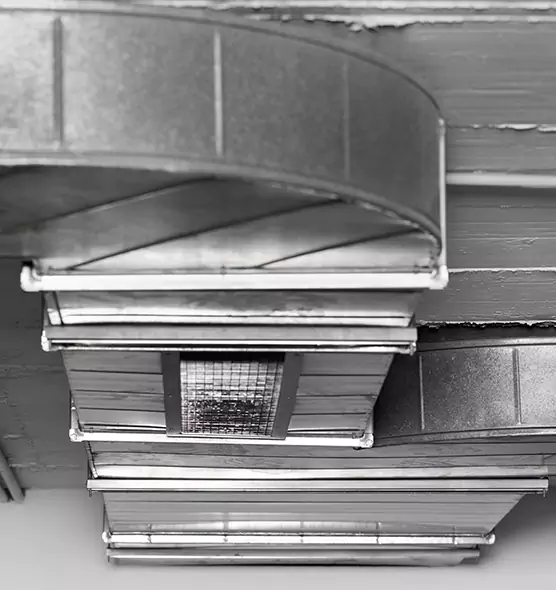 Professional Air Duct Pet Hair Removal in Johns Creek, GA