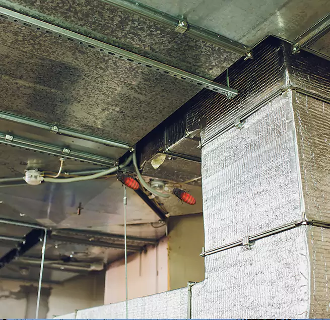 Why Homeowners & Businesses Trust Us in Johns Creek, GA?