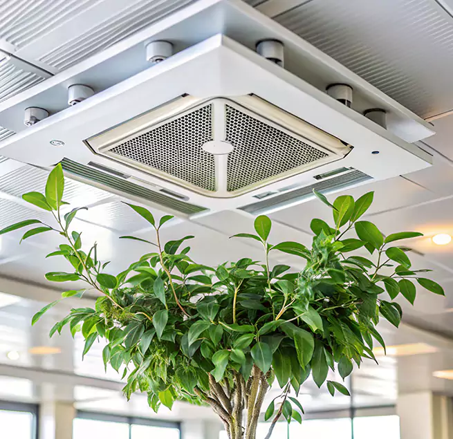 Why Homeowners & Businesses Trust Us in Johns Creek, GA