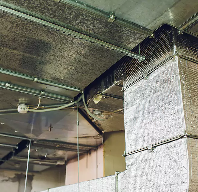 Why Homeowners & Businesses Trust Us in Johns Creek, GA?